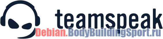 teamspeak